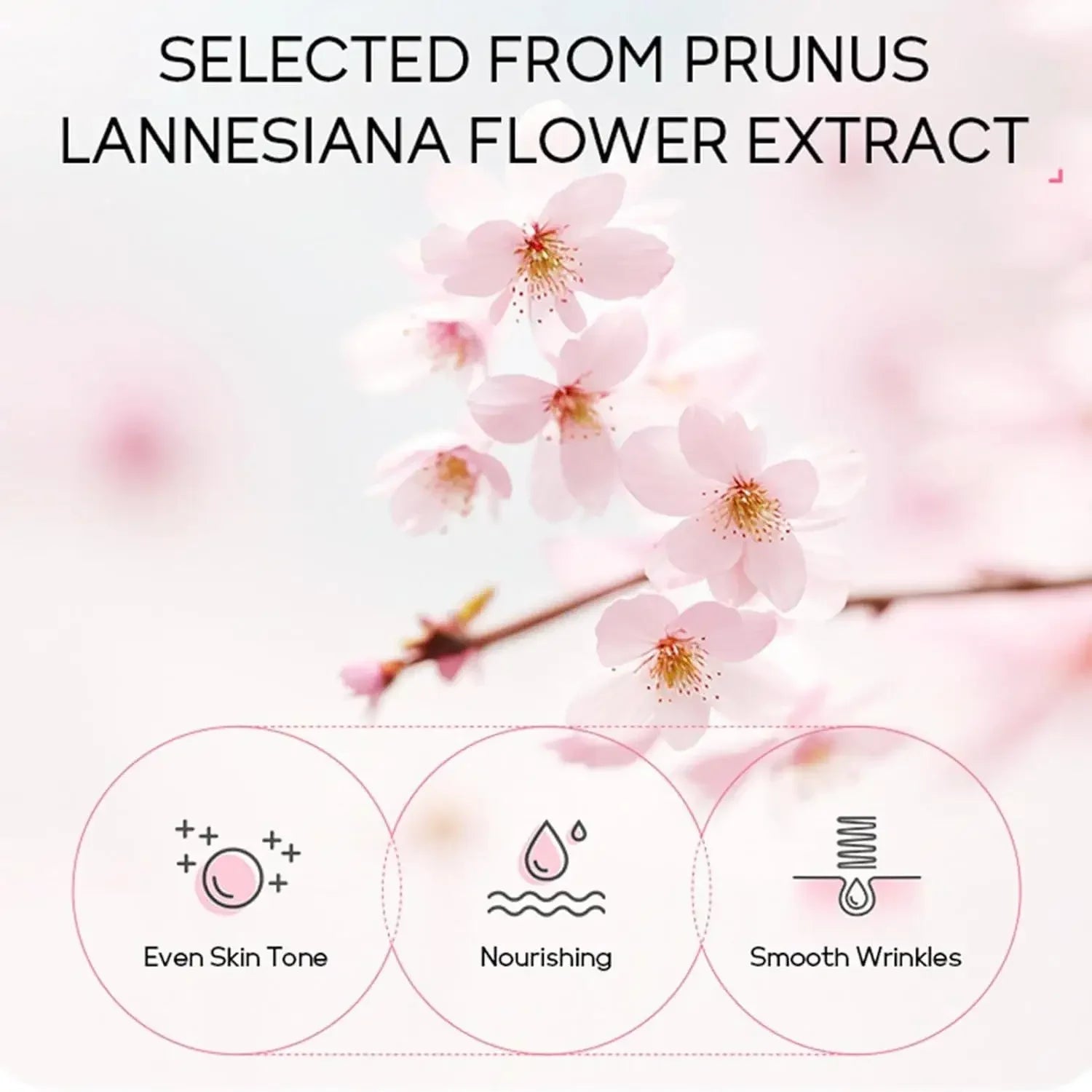 24-Piece Sakura Skin Care Set – Eye & Lip Masks, Serum, Mud Masks, Cleanser, Toner, Essence & Cream