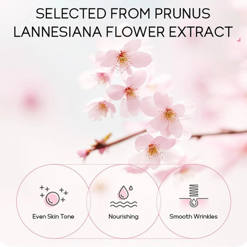 24-Piece Sakura Skin Care Set – Eye & Lip Masks, Serum, Mud Masks, Cleanser, Toner, Essence & Cream